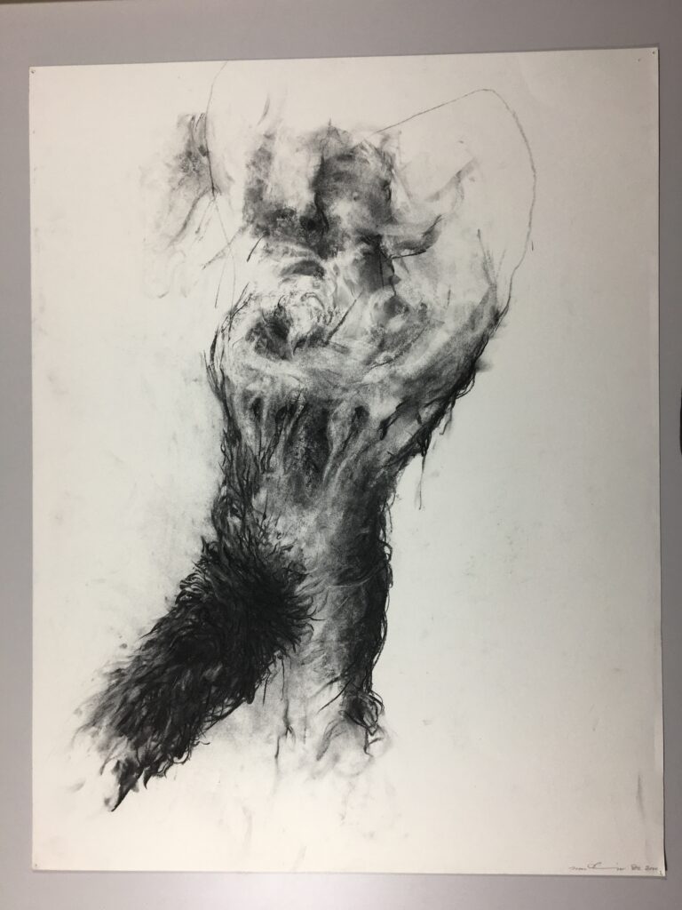 charcoal drawing